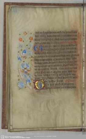 81v: Goldinitiale, Rankenschmuck