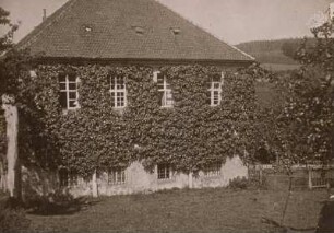 Spalier am Giebel eines Herrenhauses (Sebnitz)