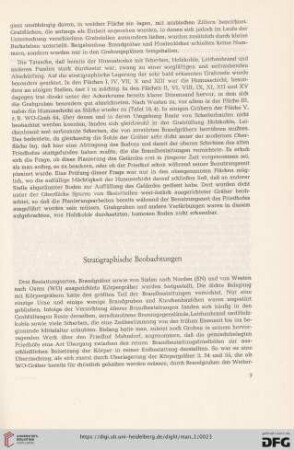 Stratigraphische Beobachtungen
