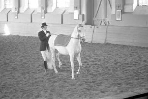 Festabend klassischer Reitkunst beim Reitinstitut Neindorff