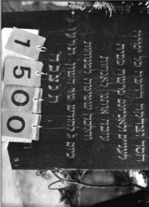 Grabstein 1500 [Hahn S. 188 Grab-Nr. 2092]: Grabstein 1500 (Detailaufnahme 2) [Hahn S. 188 Grab-Nr. 2092]