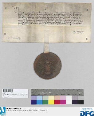 König Rupprecht stellt der Stadt Nürnberg Quittung aus über 2000 fl Reichssteuer.