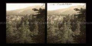 Blick auf das Dorf Oybin und den Berg Hochwald