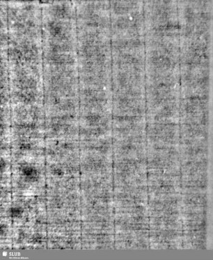Lilienschild + ICV / LW = Nachsatzblatt Violetta 7
