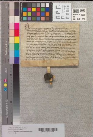 Kaufbrief über Güter zu Ronneberghe (Ronnenberg, Amt Calenberg, Fstm. Calenberg) bei Hannover seitens des Regularkanonikerstifts St. Marien zu Wittenborgh in der Diözese Hildesheim (Wittenburg b. Elze, Fstm. Calenberg).