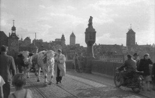 Regensburg: Verkehr auf der Steinbrücke, mit Ochsen