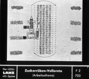 Zuckerrüben-Vollernte (Arbeitsschema)
