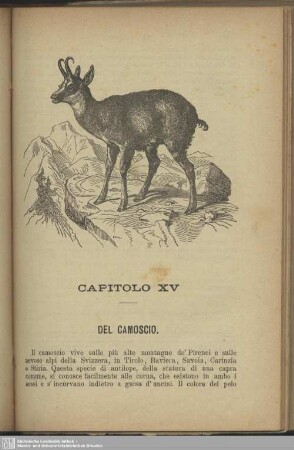 Capitolo XV. del camoscio