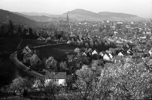 Blick auf Freiburg mit Schönberg durch die Blüten der Eichhalde