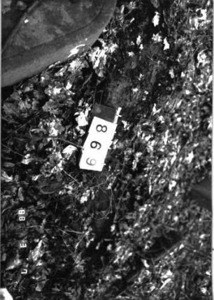 Grabstein 869