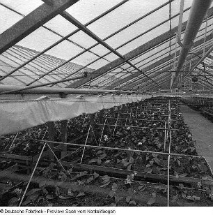 Gartenbau und Landwirtschaft (Gewächshäuser, Blumen, Feldarbeit)