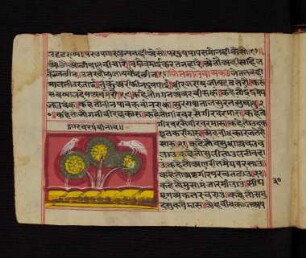 Illustration: f. 31v-32v