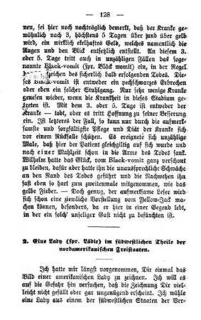 2. Eine Lady (spr. Lädie) im südwestlichen Theile der nordamerikanischen Freistaaten