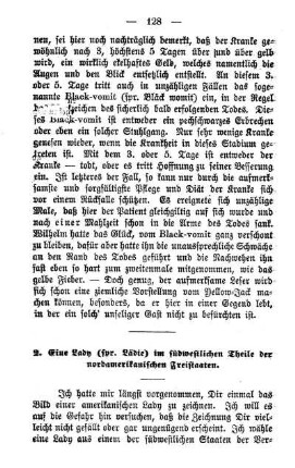 2. Eine Lady (spr. Lädie) im südwestlichen Theile der nordamerikanischen Freistaaten