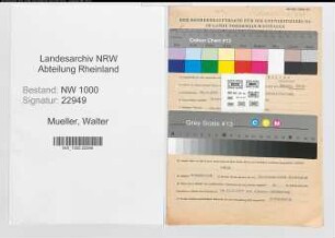 Entnazifizierung Walter Mueller, geb. 28.03.1895 (Montageschlosser)