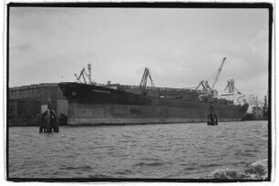 Protektor (1967), Laeisz.- F. Laeisz Schiffahrtsgesellschaft, F. Laeisz GmbH, Hamburg