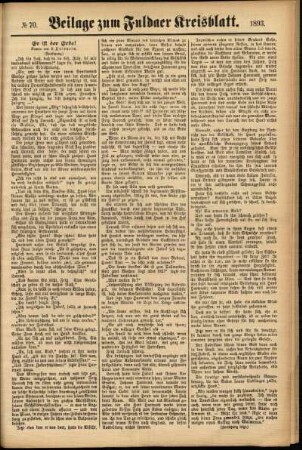 Zweite Ausgabe vom Samstag, den 17. Juni 1893.