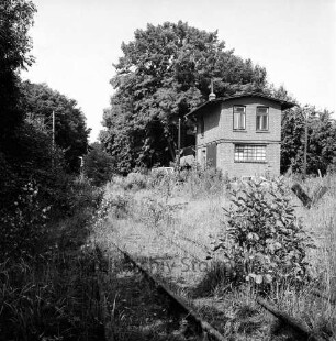Bahnhof der Kleinbahnstrecke Elmshorn-Barmstedt-Oldesloer Eisenbahn (EBOE) mit überwucherten Gleisanlagen: im Hintergrund Bäume