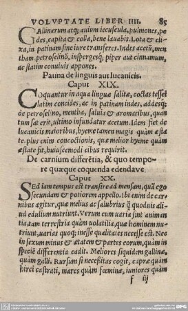 Patina de linguis aut lucanicis. Caput XIX.