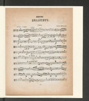 Erstes Quartett. [Viola.]