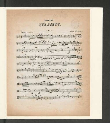 Erstes Quartett. [Viola.]
