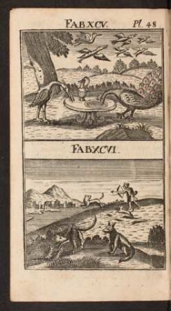 Pl. 48. Fab. XCV. Fab. XCVI.