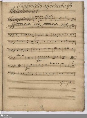 Violoncello e Contrabasso