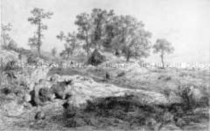 In den Ardennen (Baumgruppe mit Hütte)