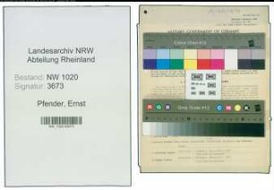 Entnazifizierung Ernst Pfender , geb. 10.02.1881 (Gaertner)