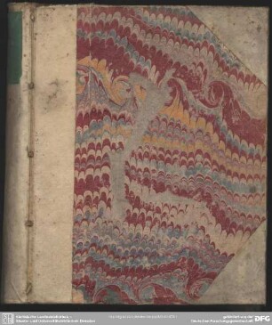 Disputatio theologiae biblicae de peccato excoecationis et indurationis
