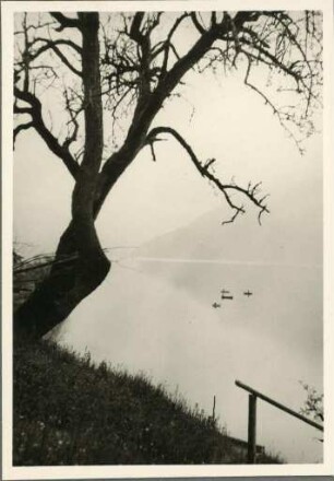 Blick auf den Brienzer See