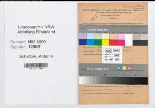 Entnazifizierung Antonie Schellow, geb. 16.11.1895 (Postangest.)