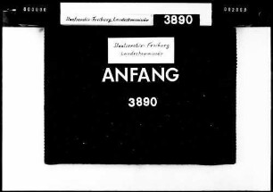 Brand in Öfingen am 12. Februar 1930 (22 Anwesen)