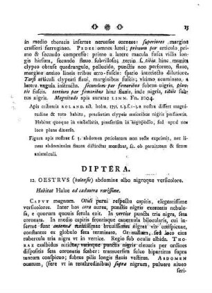 Diptera