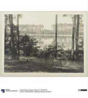 Waldsee