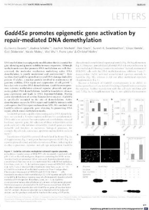 Gadd45a promotes epigenetic gene activation by repair-mediated DNA demethylation