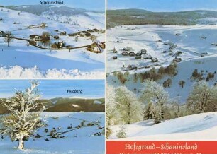 Winter im Schwarzwald
