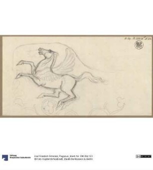 Pegasus