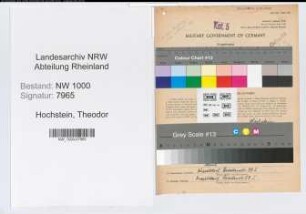 Entnazifizierung Theodor Hochstein, geb. 19.07.1906 (Gerichtsassessor)