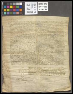 Bingenheim (Amt): Notariatsinstrument über die Weisung der Mark Bingenheim. Zeugenreihe. Notar: Johann Steine von Echzell