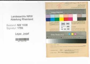 Entnazifizierung Josef Leyer , geb. 08.09.1898 (Kaufmann)