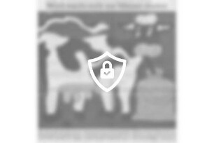 Milch mach nicht nur Männer munter