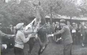 Pferdetrainer in Hoppegarten
