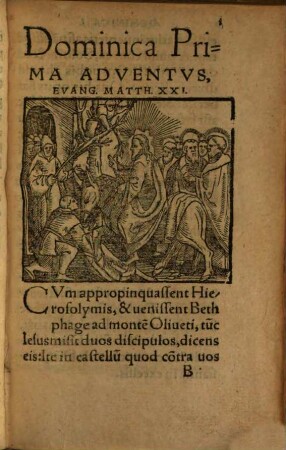 Pericopae Euangelioru[m], quae Singvlis Diebvs Dominicis Pvblice In Ecclesiae recitare solent