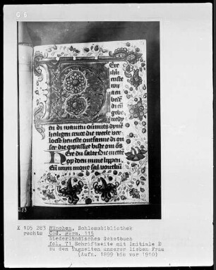 Niederländisches Gebetbuch — Initiale D und Bordüre, Folio 71recto