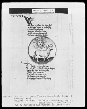 Heinrich von Laufenberg, Regimen sanitatis, deutsch — Stier, Folio 7verso
