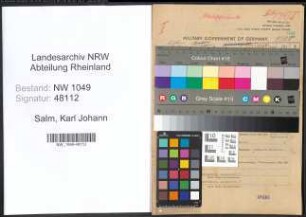 Entnazifizierung Karl Johann Salm , geb. 16.01.1893 (Ingenieur)