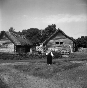 Insel Runö, Bauernhäuser