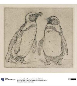 Zwei Pinguine