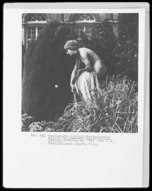 Nymphe